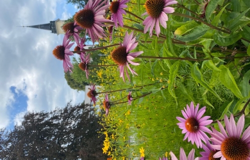 Evangelický kostel v Novém Městě na Moravě