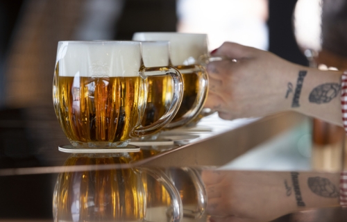 Návštěvnické centrum Bernard