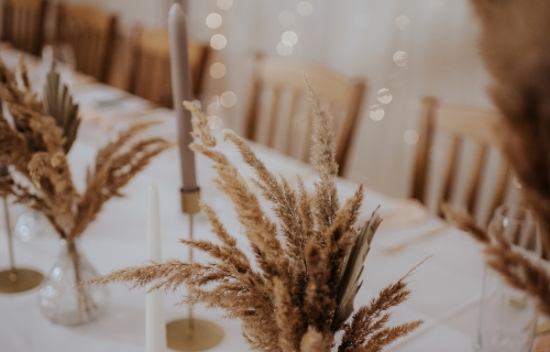 Nyfiko svatby a eventy