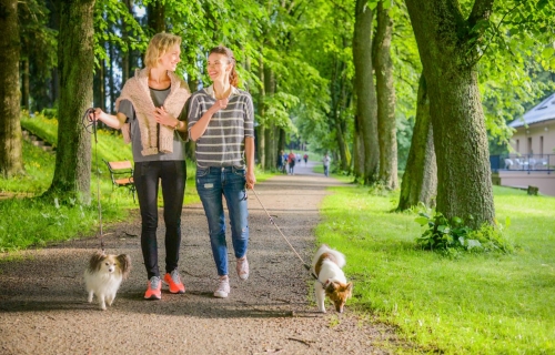 Resort Svatá Kateřina, harmonie našla své jméno...