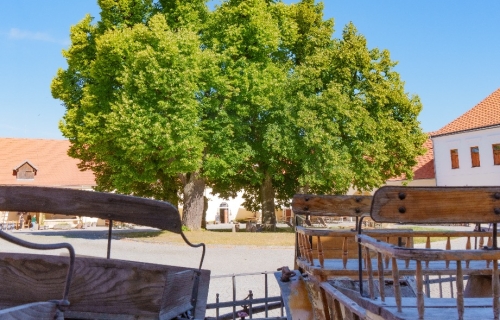 Eden centrum - ráj a odpočinek u zvířat