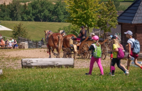 Eden centrum - ráj a odpočinek u zvířat