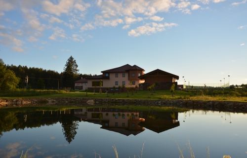 Wellness penzion Medličky