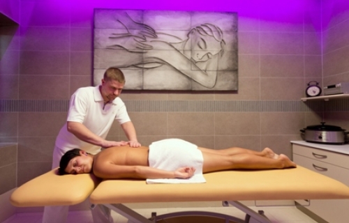 Wellness penzion Medličky