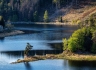 Forest Resort