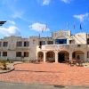 2954.jpg