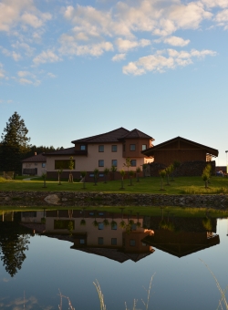 Wellness penzion Medličky