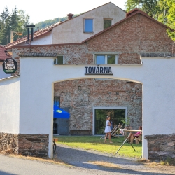 Továrna Vír